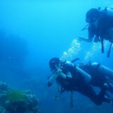 オーストラリアでのかけがえのない思い出です。