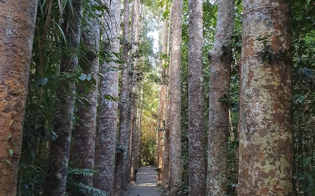 毎回真摯に話を聞いてくださりありがとうございました！