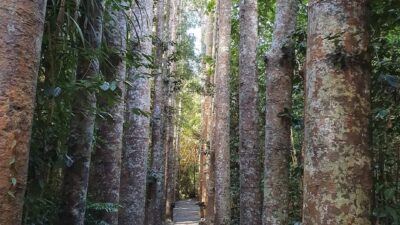 毎回真摯に話を聞いてくださりありがとうございました！